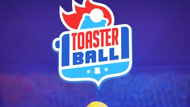 Toasterball cover