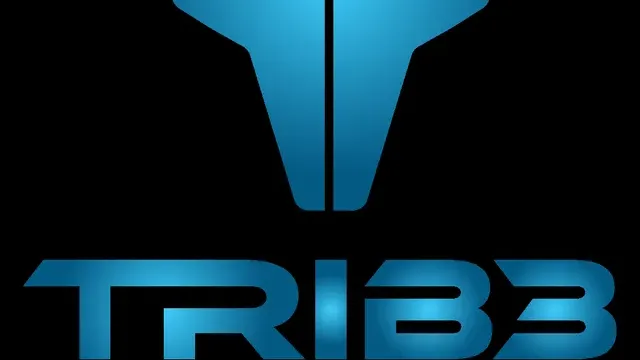 TRIB3: Beta cover
