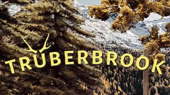 Trüberbrook cover
