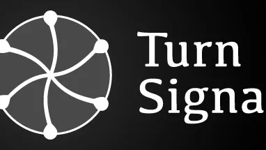 TurnSignal cover