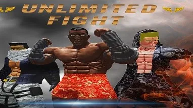 Unlimited Fight cover