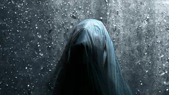 Visage cover