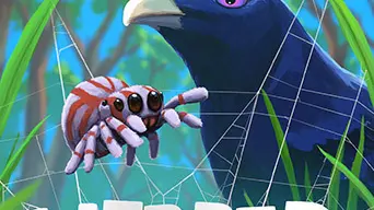 Webbed cover