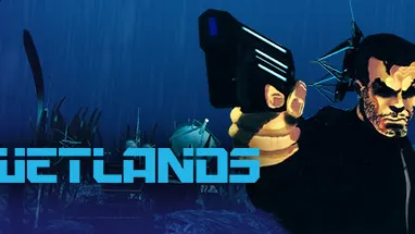 Wetlands cover