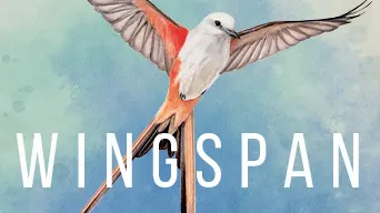 Wingspan cover